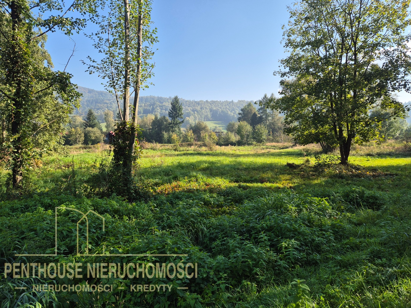 Zdjęcie nieruchomości