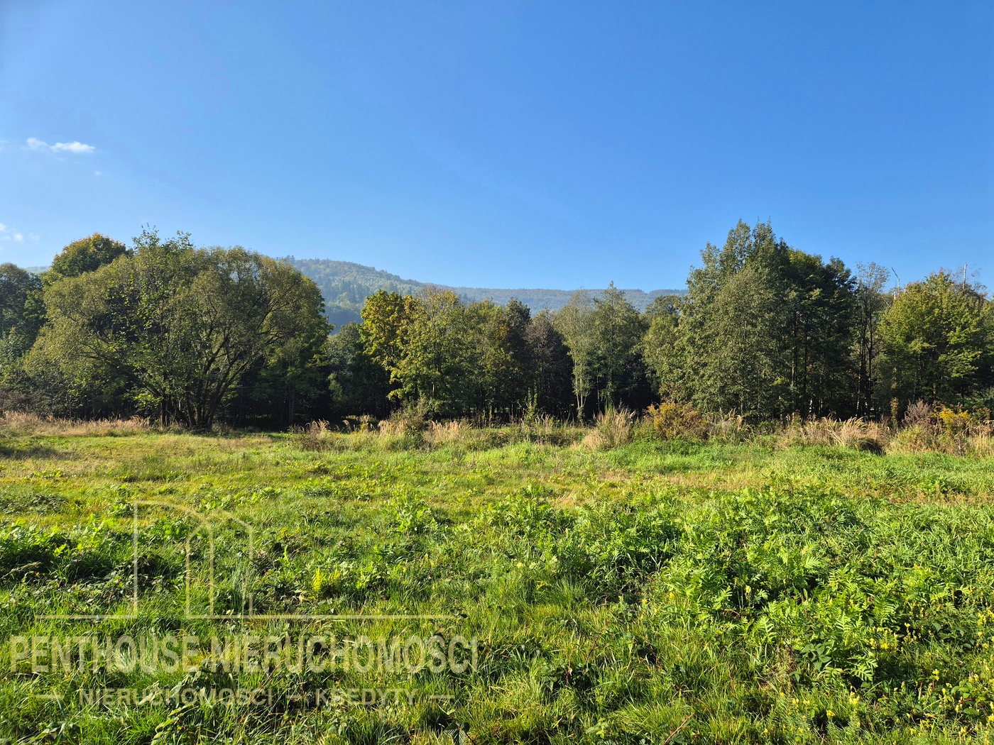 Zdjęcie nieruchomości