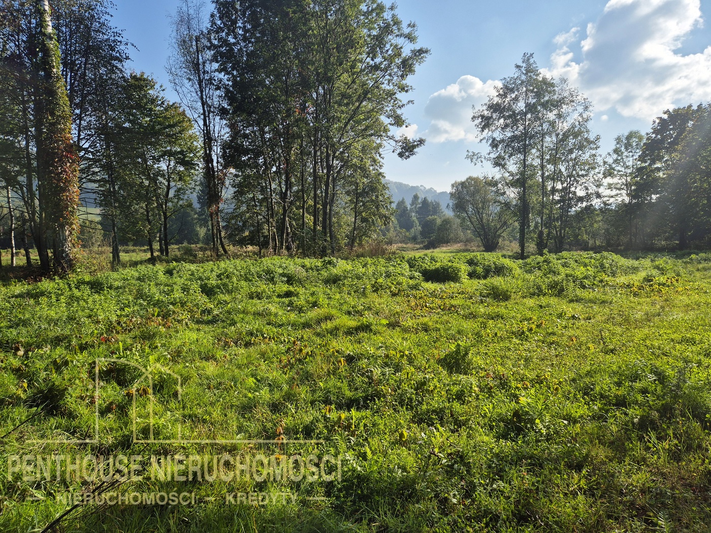 Zdjęcie nieruchomości