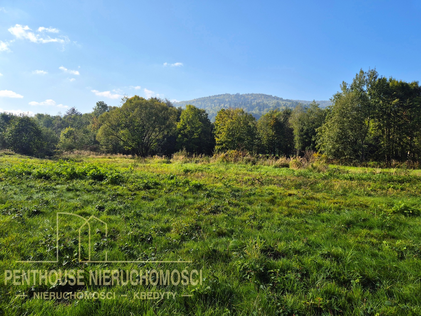 Zdjęcie nieruchomości