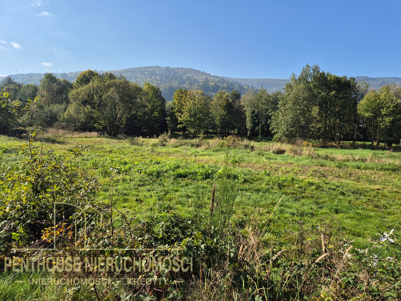 Zdjęcie nieruchomości