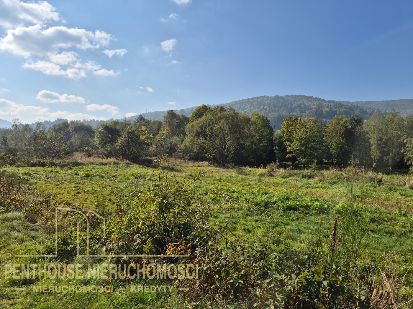 Zdjęcie nieruchomości