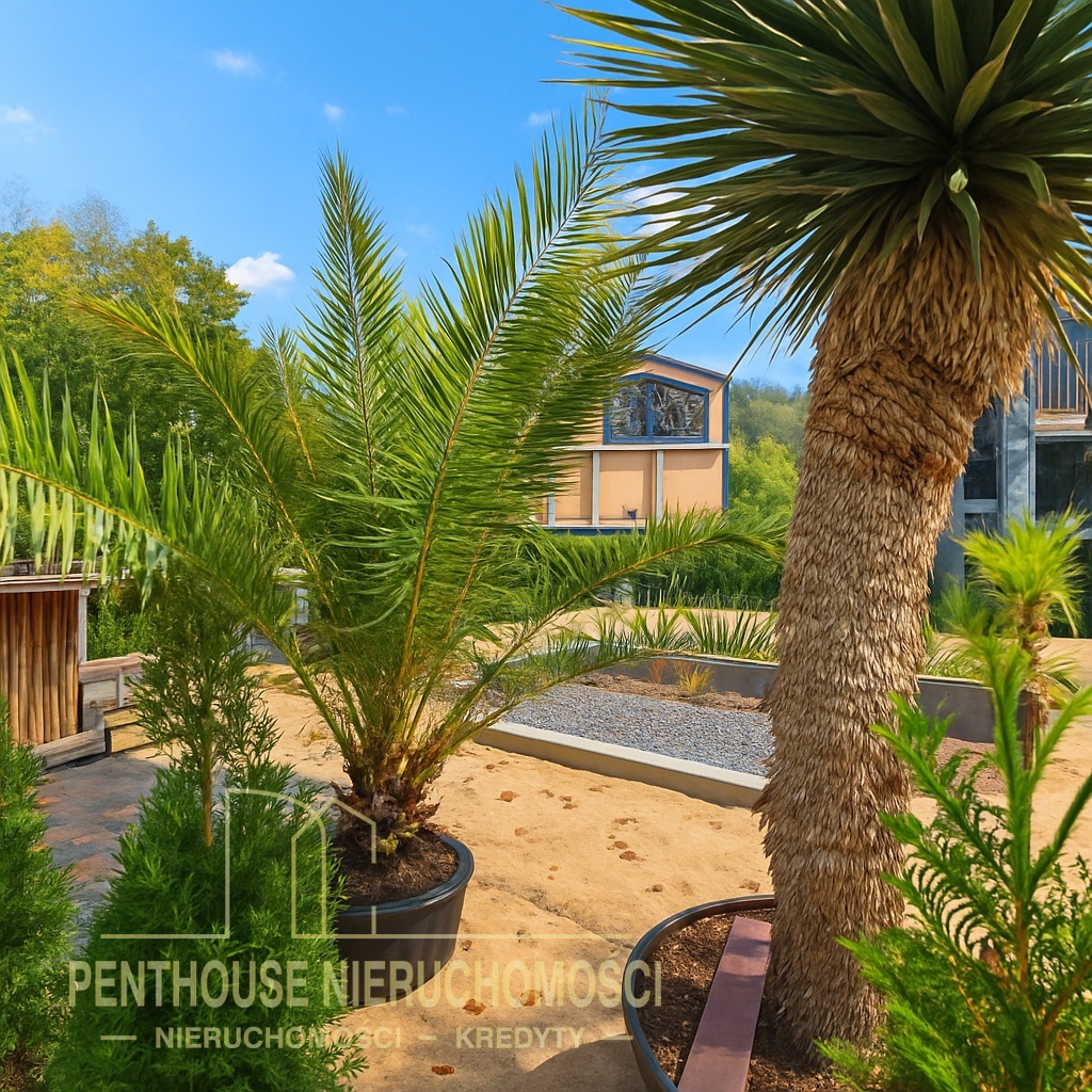 Zdjęcie nieruchomości