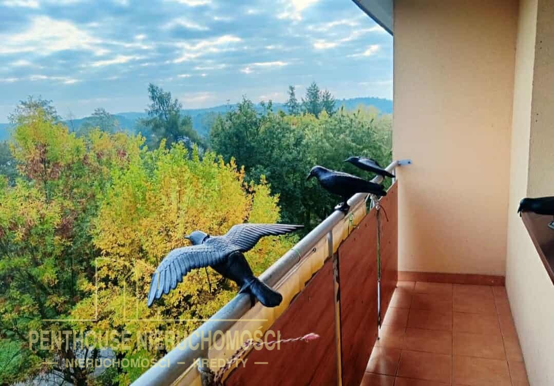 Zdjęcie nieruchomości