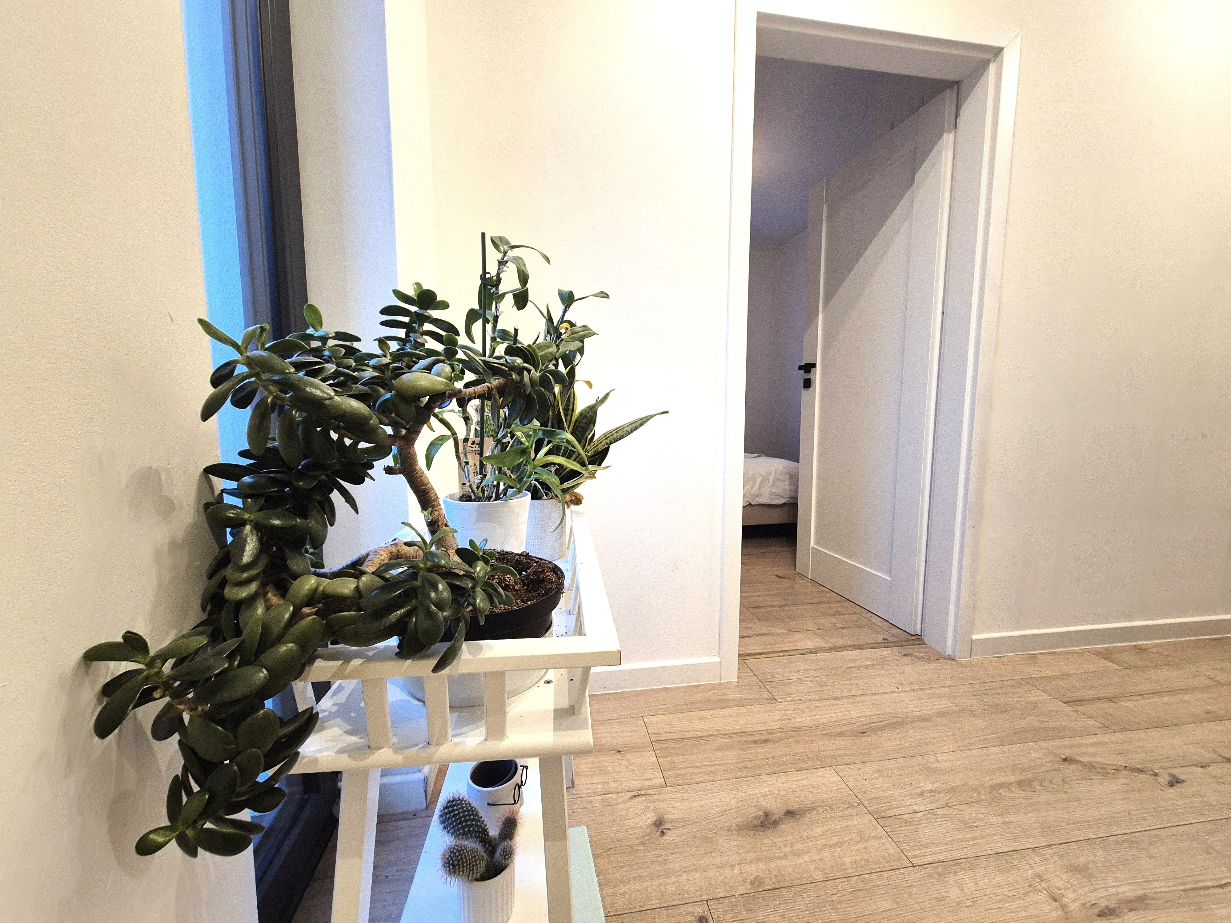 Zdjęcie nieruchomości