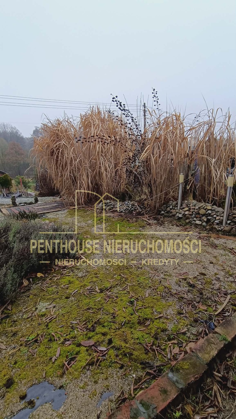 Zdjęcie nieruchomości