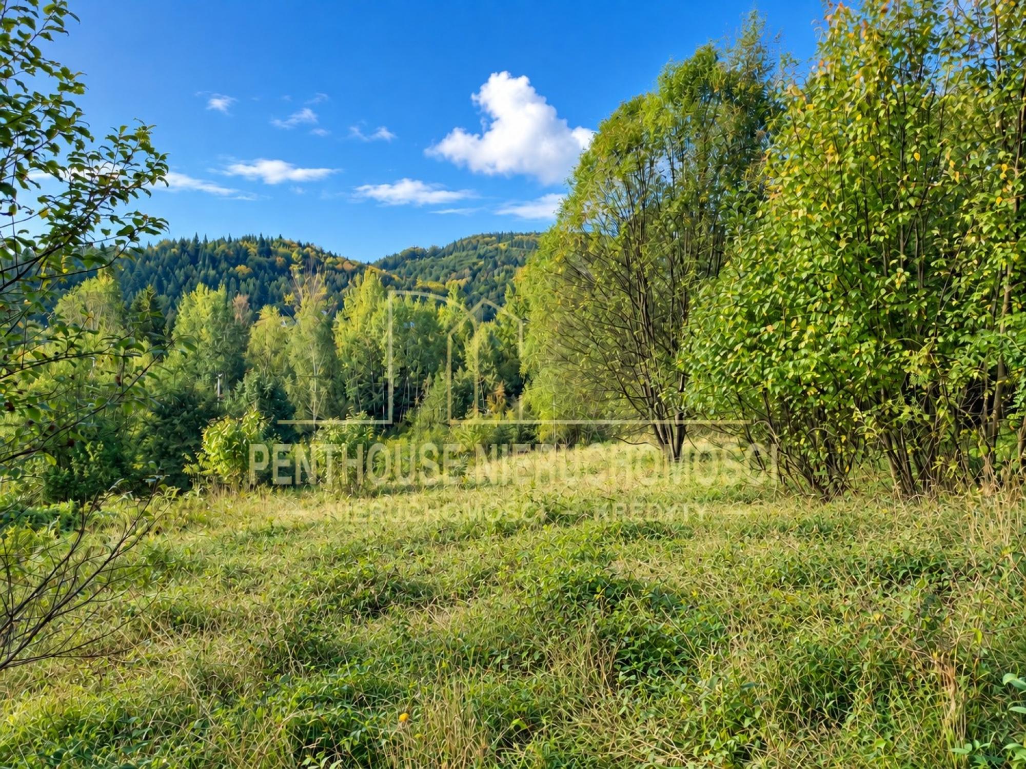 Zdjęcie nieruchomości