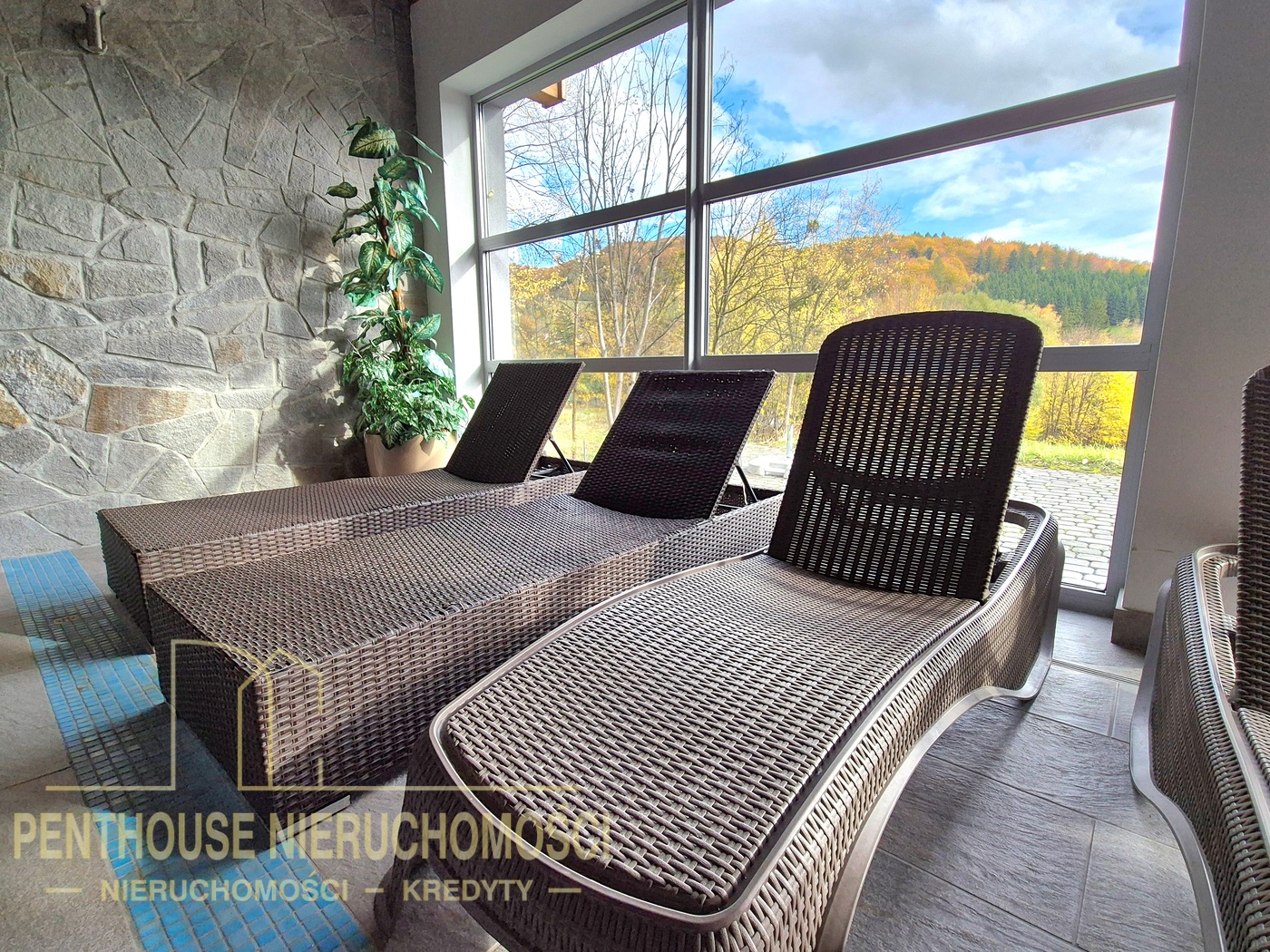 Zdjęcie nieruchomości