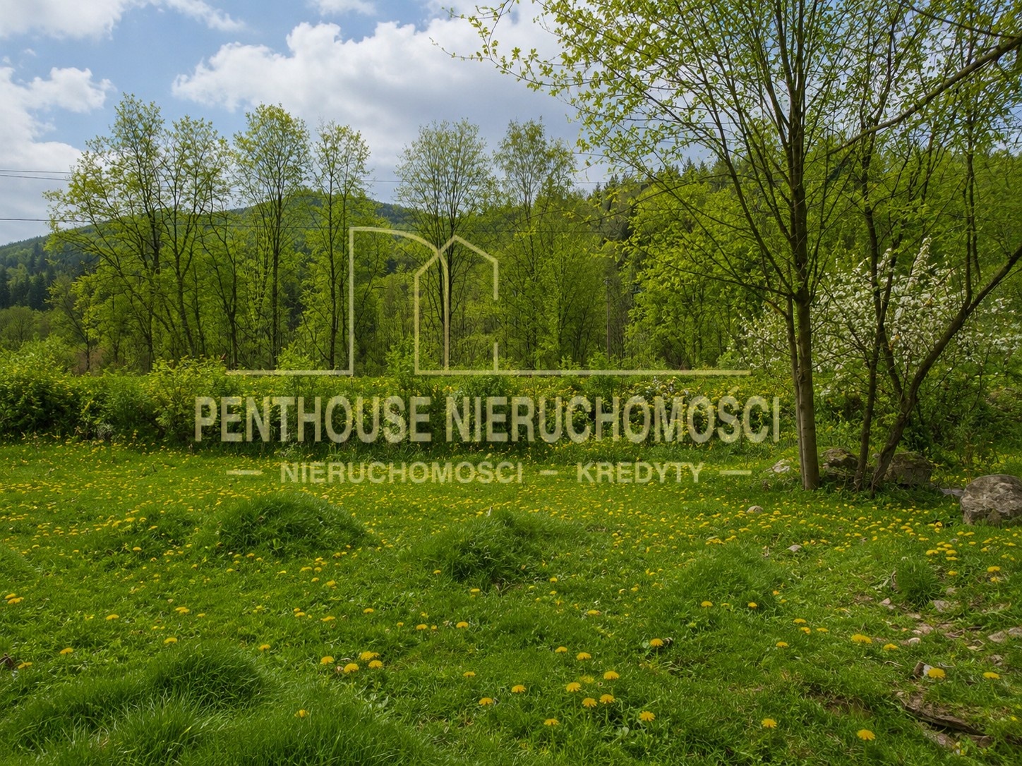 Zdjęcie nieruchomości