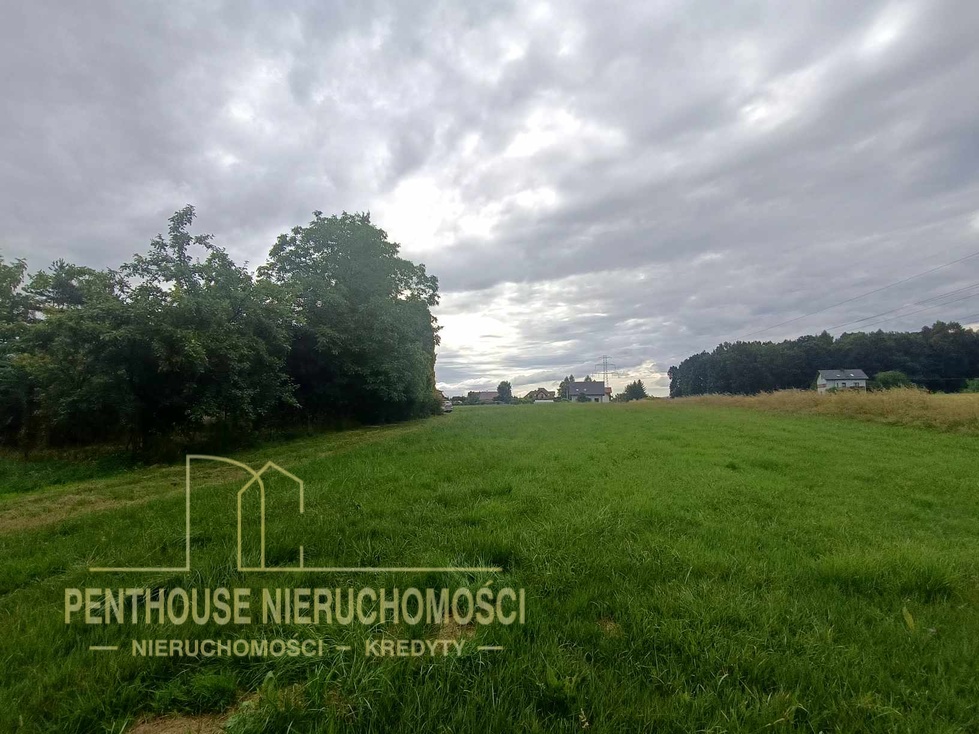Zdjęcie nieruchomości