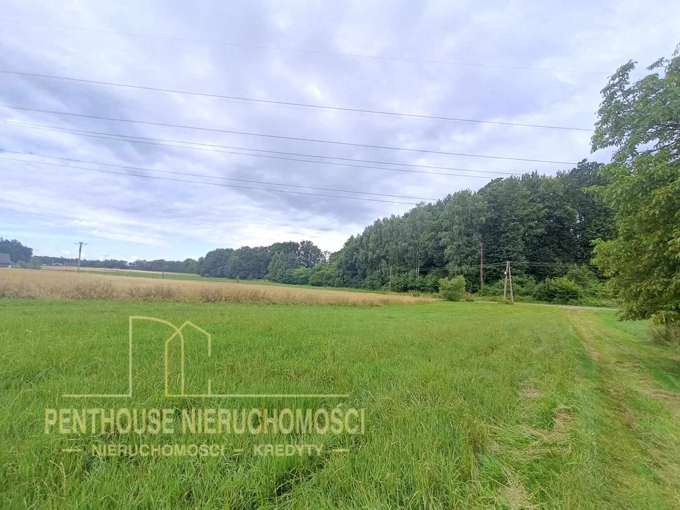 Zdjęcie nieruchomości