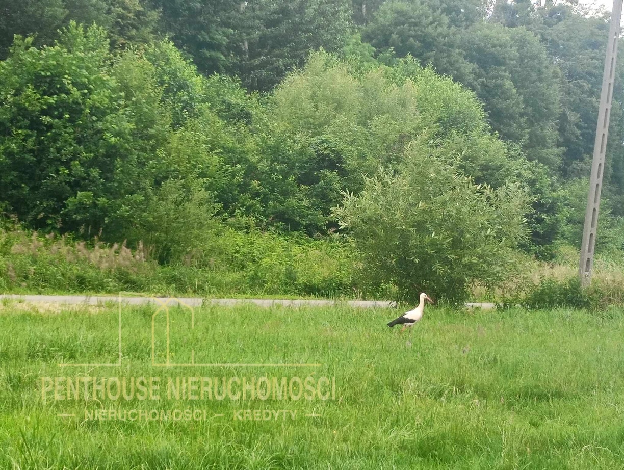 Zdjęcie nieruchomości